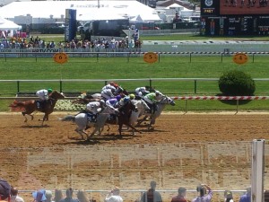 preakness 2013